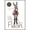 کتاب Flash اثر Rachel Anne Ridge and Priscilla Shirer انتشارات Tyndale Momentum