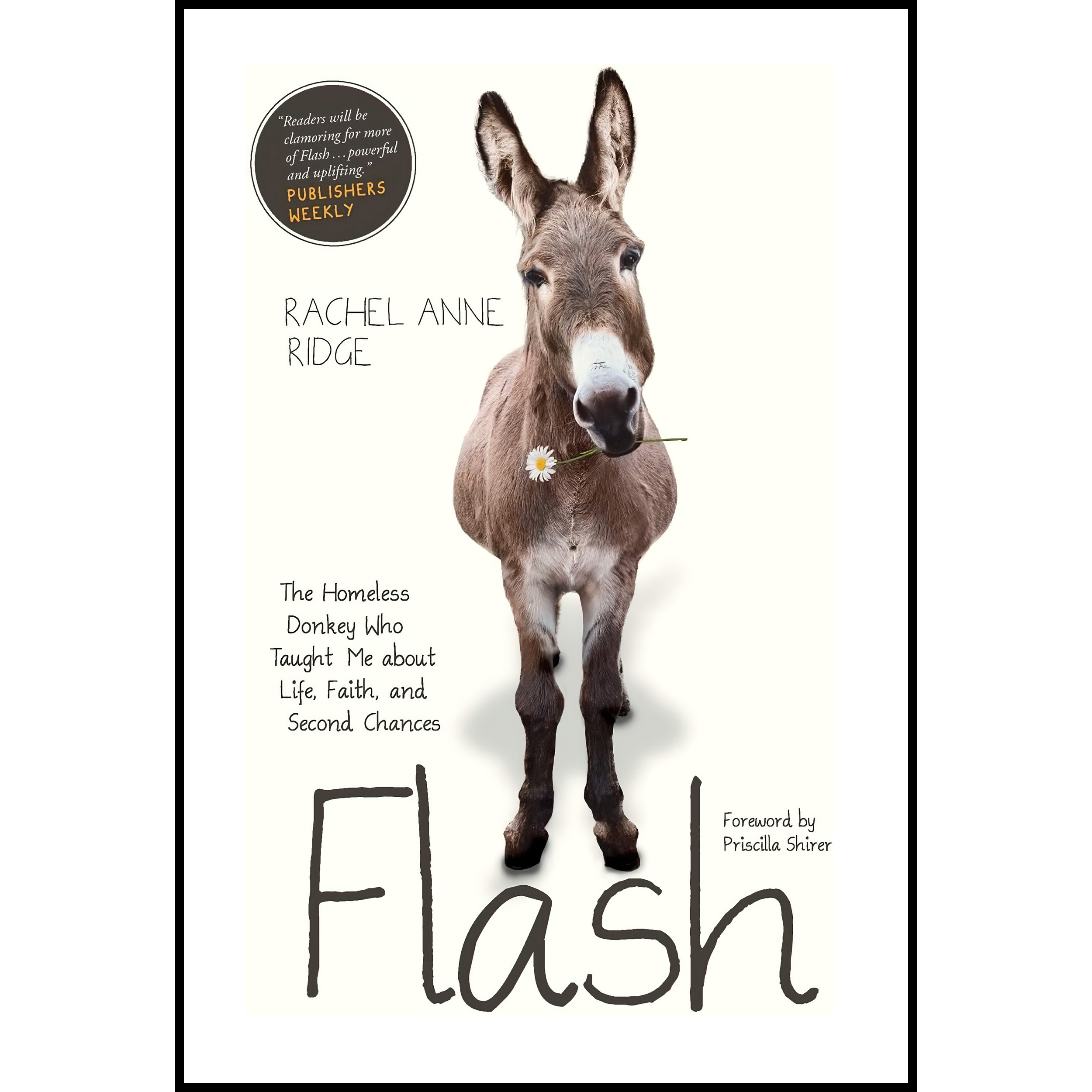 کتاب Flash اثر Rachel Anne Ridge and Priscilla Shirer انتشارات Tyndale Momentum