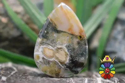 جاسپر اقیانوسی