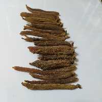 ریشه قرمز 6 ساله درجه یک اصل و طبیعی 50 گرمی