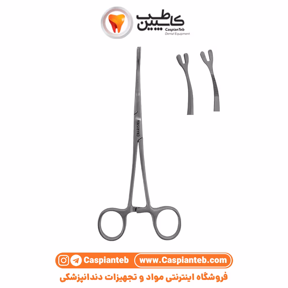 بن هولدر کاریزما Bone Holder