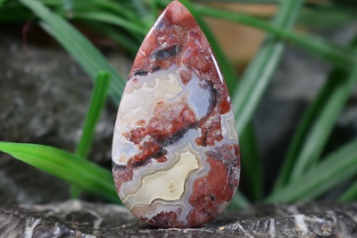 کرزی لس اگات