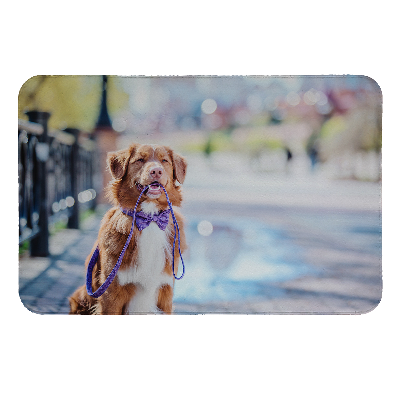 زیرقابلمه ای طرح سگ کد 6206