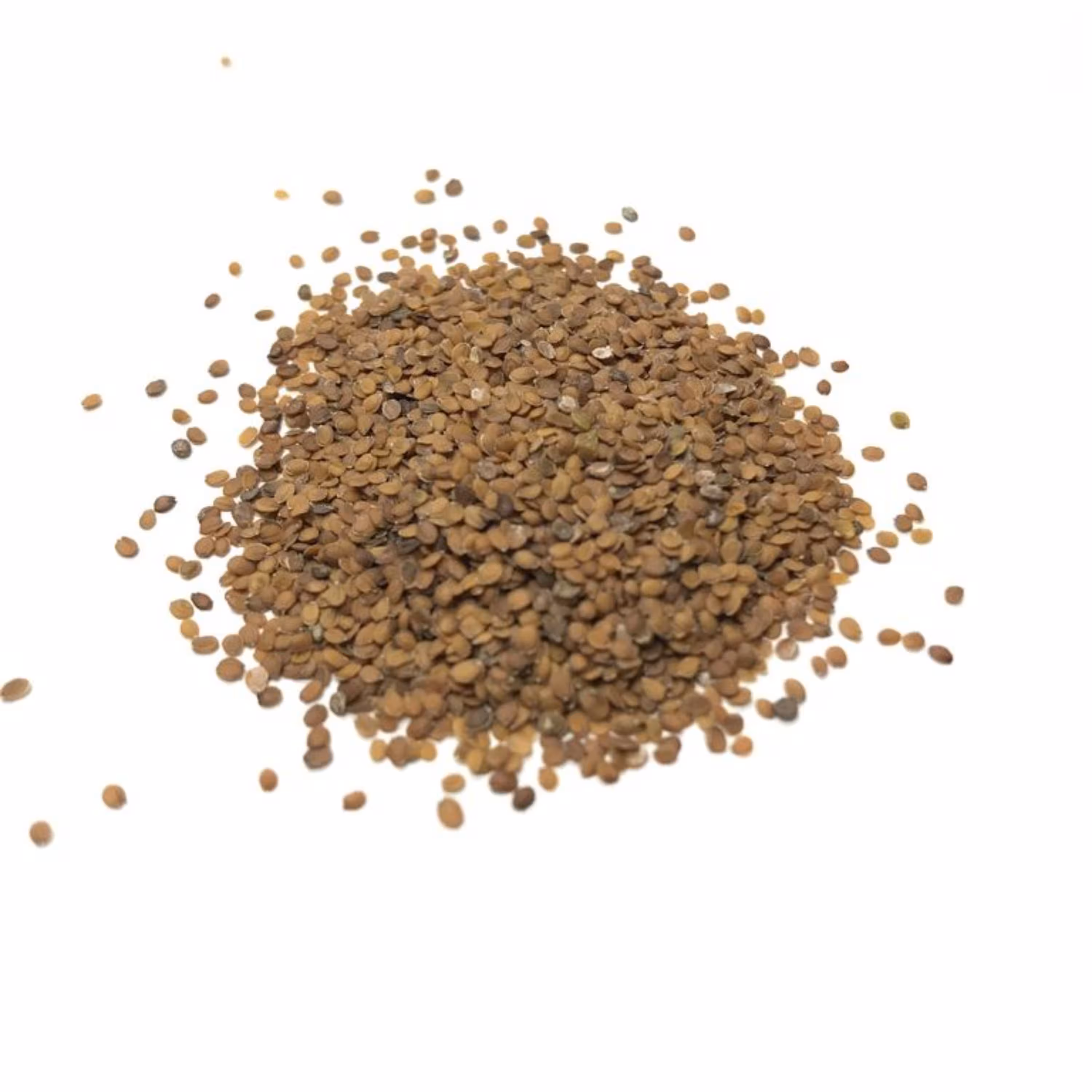 قدومه شیرازی (100 گرم) عطاری نیکو طبیب
