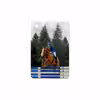 برچسب پوششی ماهوت مدل Equestrianism مناسب برای تبلت سامسونگ Galaxy Tab 7.7 2011 P6800
