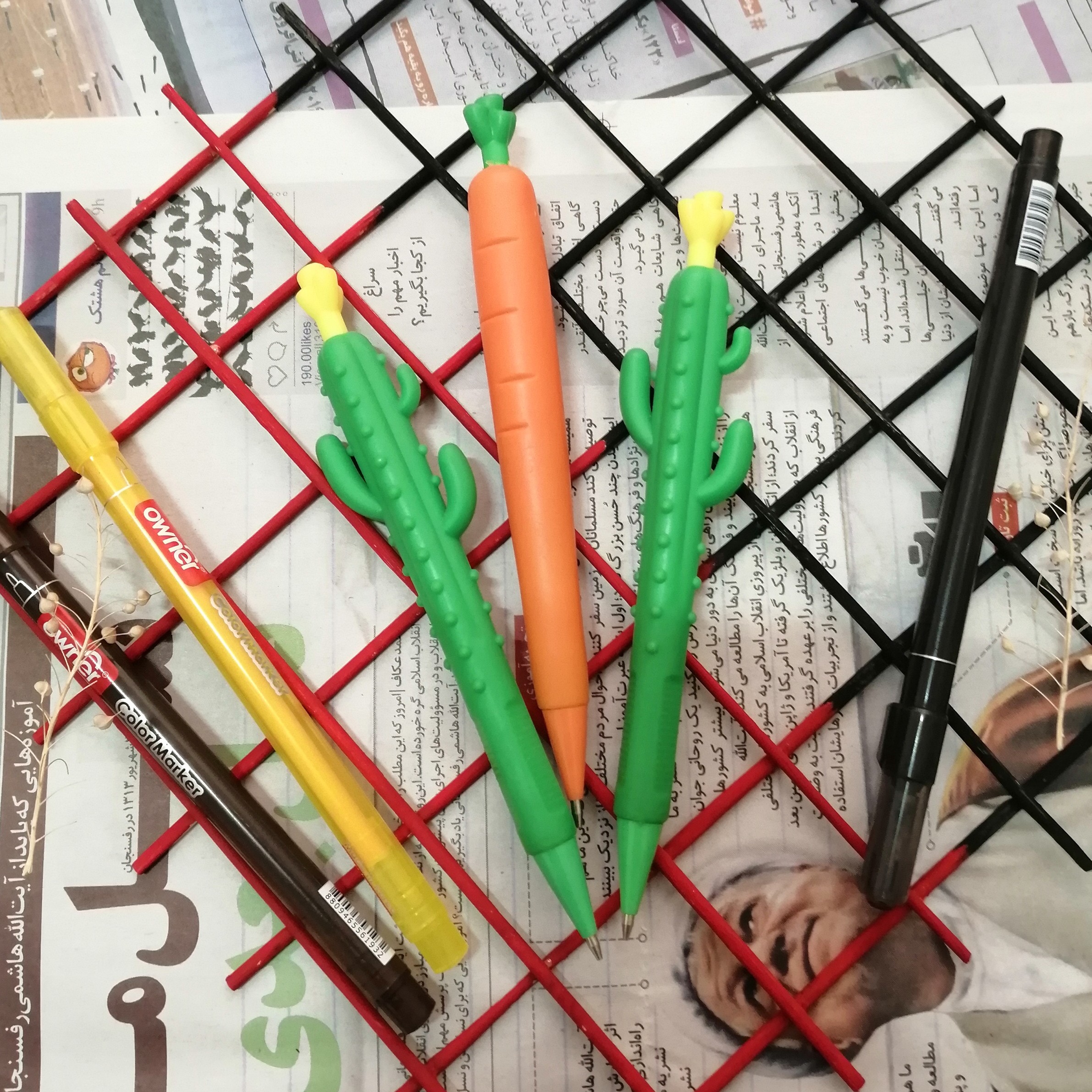 اتود طرح هویچ و کاکتوس