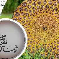 دف در طرح های مختلف