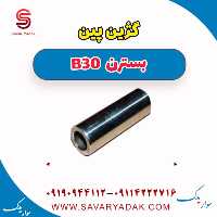گژین پین بسترن B30