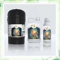 کود گلدهی شوک (36-12-12)