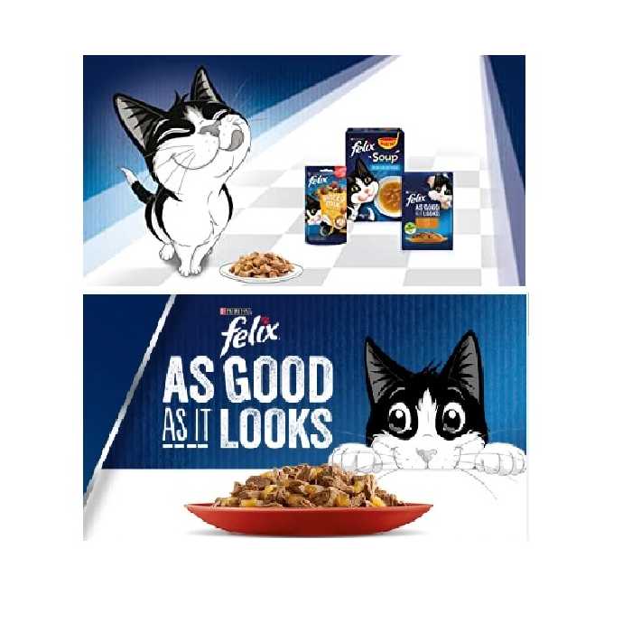 غذای پوچ گربه فلیکس مدل طعم مرغ و هویج در ژله وزن 85 گرم