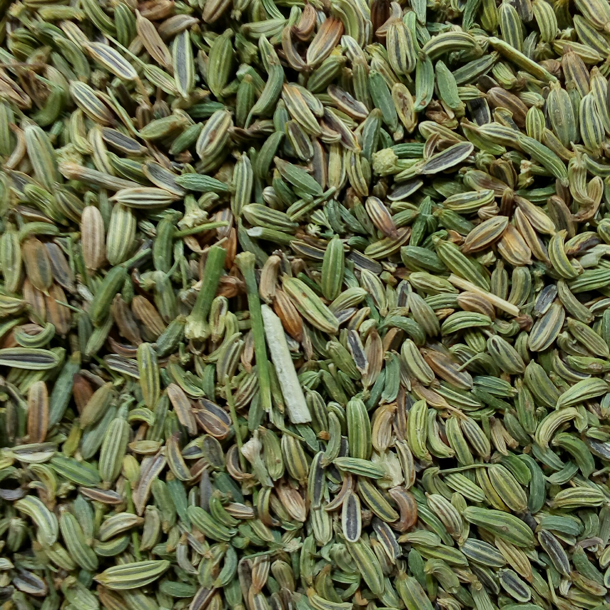 رازیانه (بادیان) 80گرمی