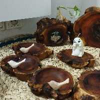 هفت سین روستیک چوب توت