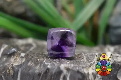 امتیست تراپیچ