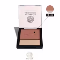 ماجولان رژ گونه و هایلایتر شماره B 404 H