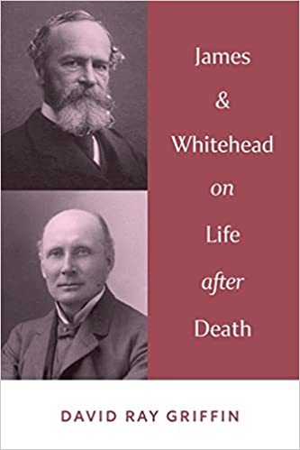 خرید و دانلود نسخه کامل کتاب James and Whitehead on Life after Death - Pdf