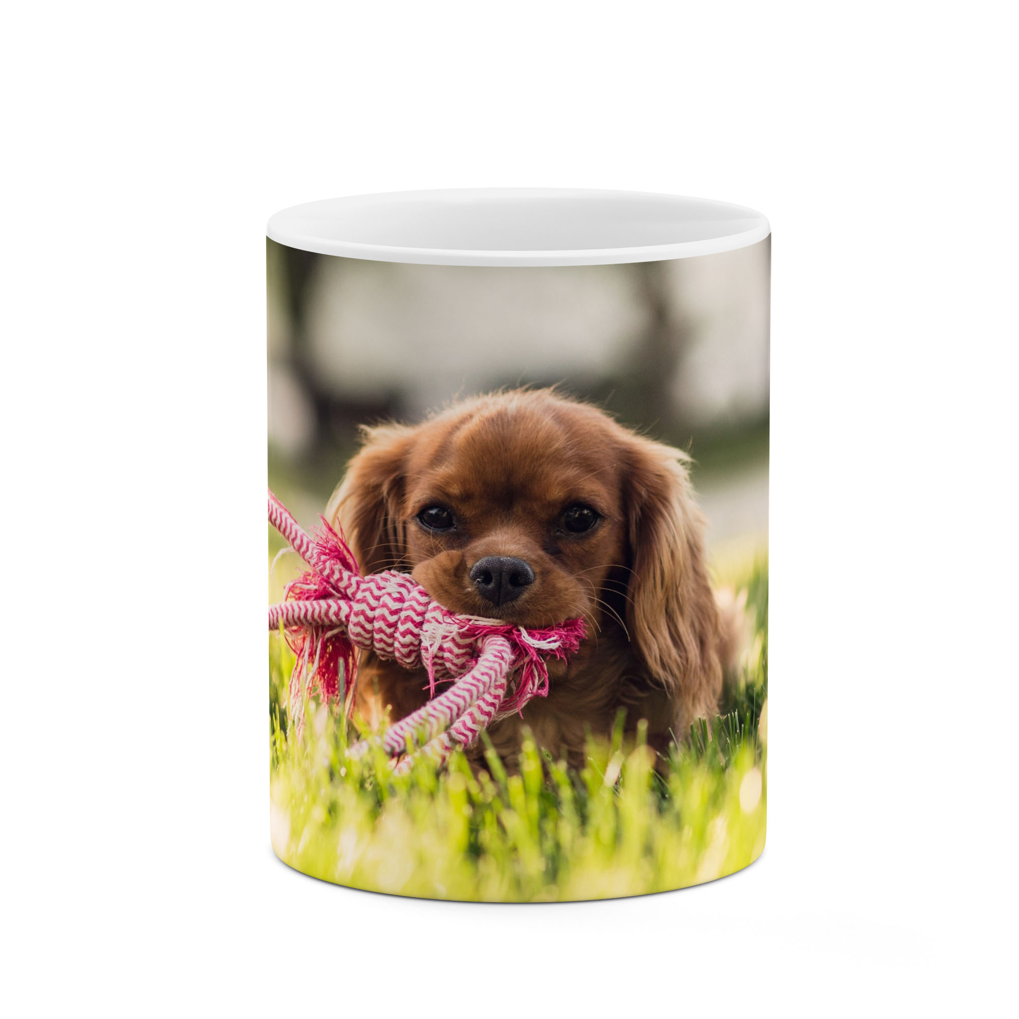 ماگ طرح توله سگ مدل mgp10945