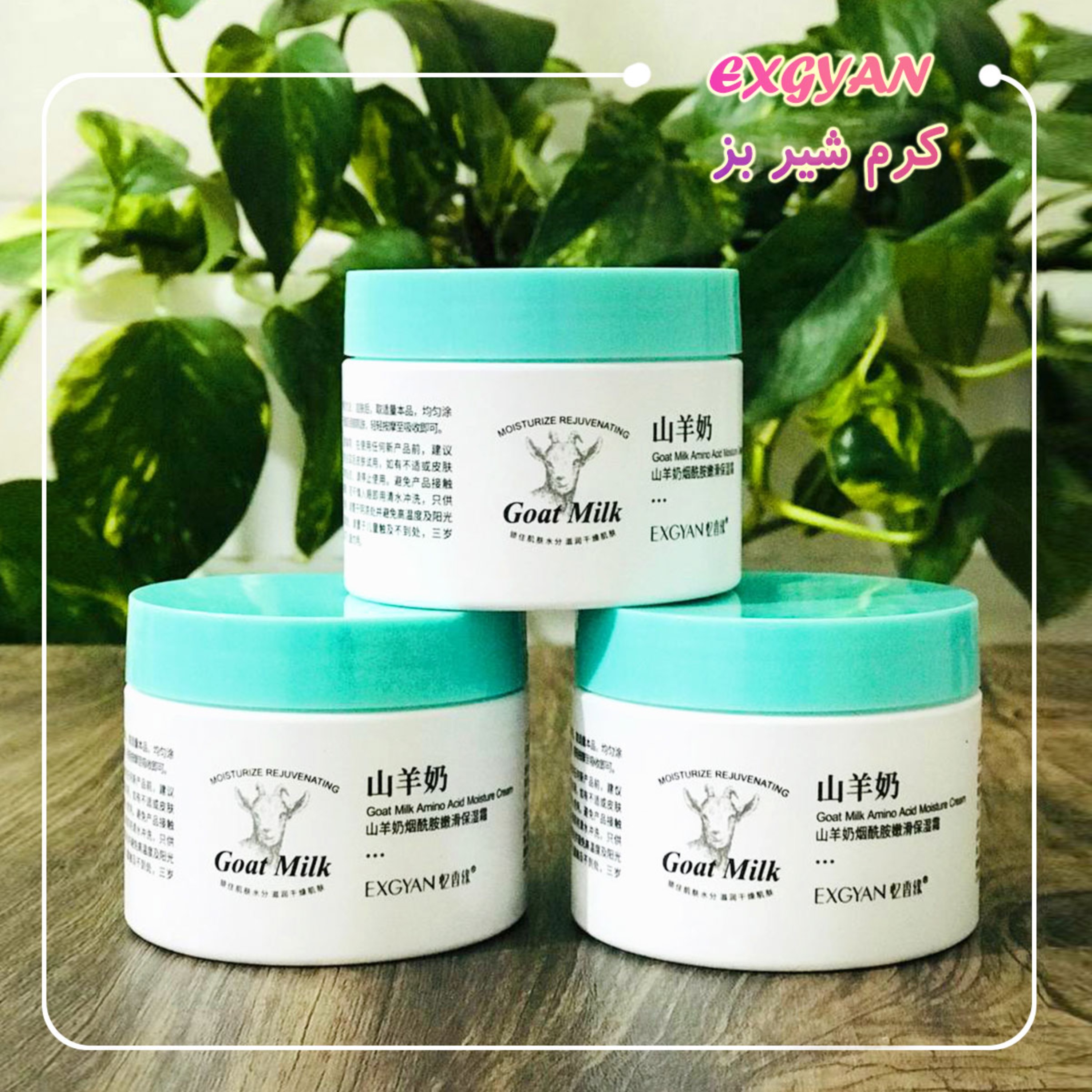کرم مرطوب کننده شیر بز اکس جیان exgyan  