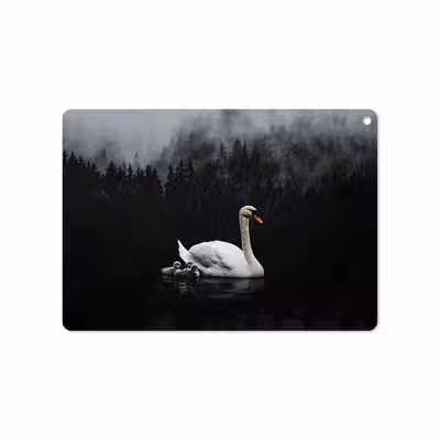 برچسب پوششی ماهوت مدل Swan Lake مناسب برای تبلت اپل iPad Air 2 2014 A1566