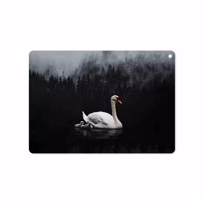 برچسب پوششی ماهوت مدل Swan Lake مناسب برای تبلت اپل iPad Air 2 2014 A1566
