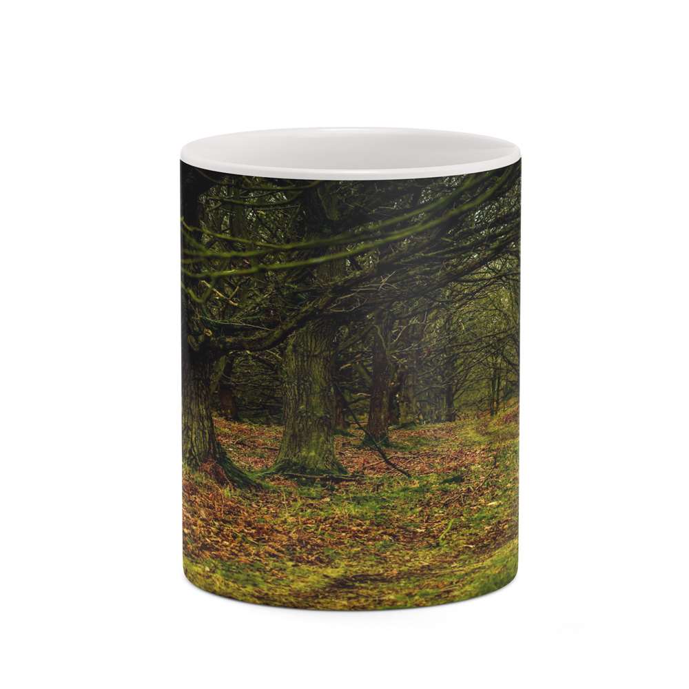 ماگ کاکتی طرح منظره پاییزی مدل mgh18598