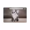 برچسب پوششی ماهوت مدل Cat-2 مناسب برای تبلت سامسونگ Galaxy Tab S6 2019 SM-T860