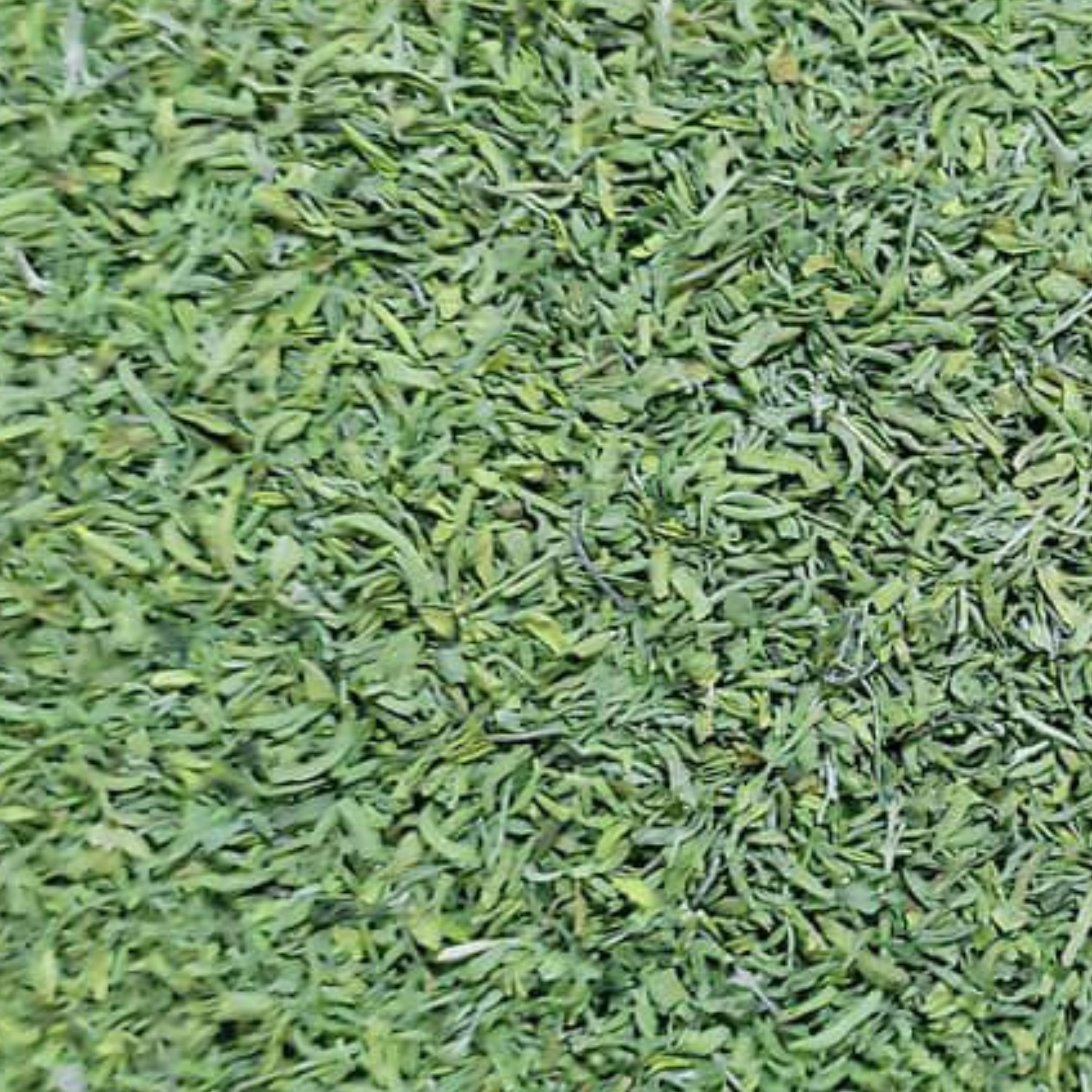 مرزه خشک اعلاء بسیار تمیز 250 گرمی