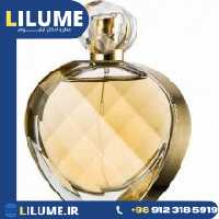عطر ادکلن الیزابت آردن آنتولد ابسولو 100 میل زنانه