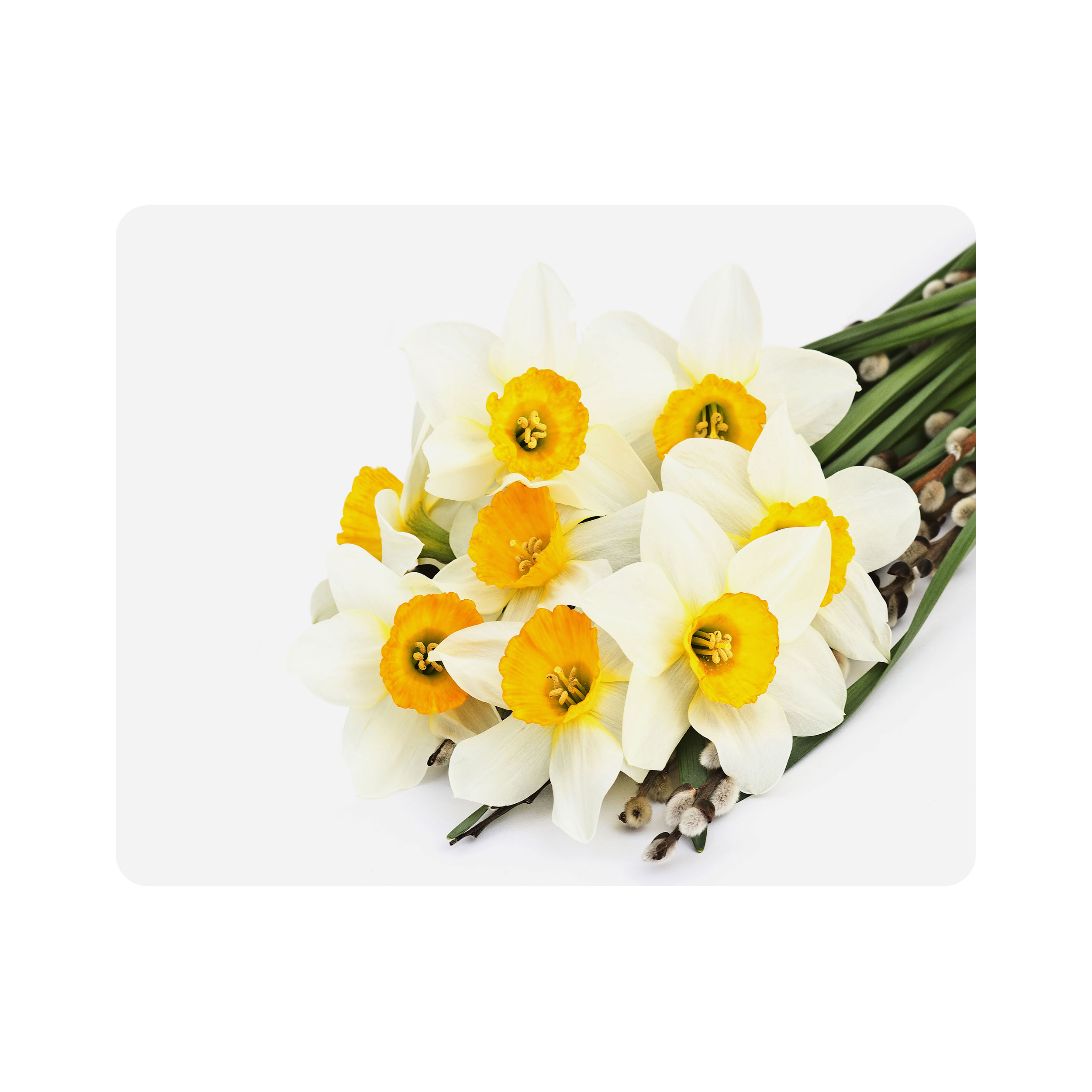 ماوس پد اطلس آبی طرح گل نرگس مدل T6796