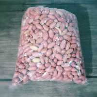 بادام زمینی ممتاز آستانه اشرفیه  محصول سال 1403