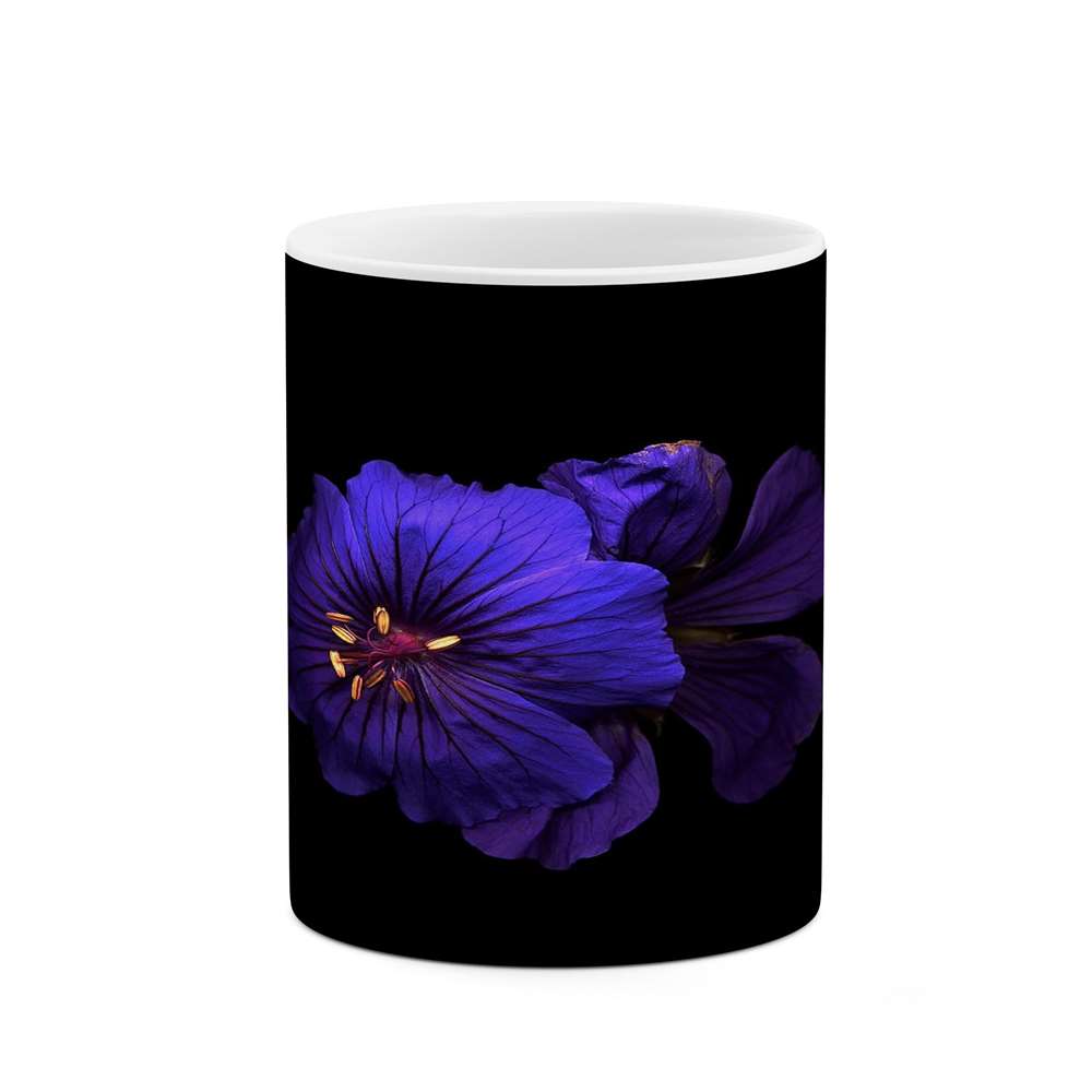 ماگ کاکتی طرح گل مدل mgs14311