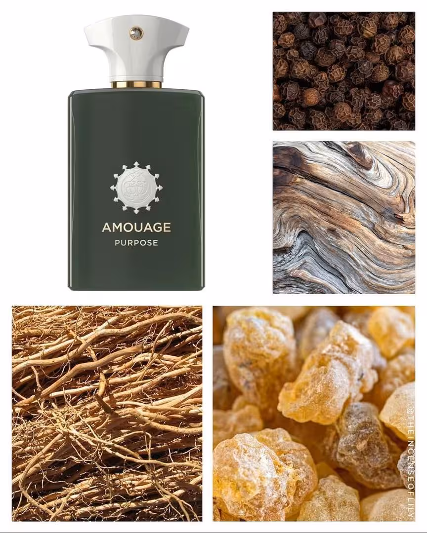 عطر آمواج پرپچوال پیس   پرپیس 100 میل Amouage Purpose
