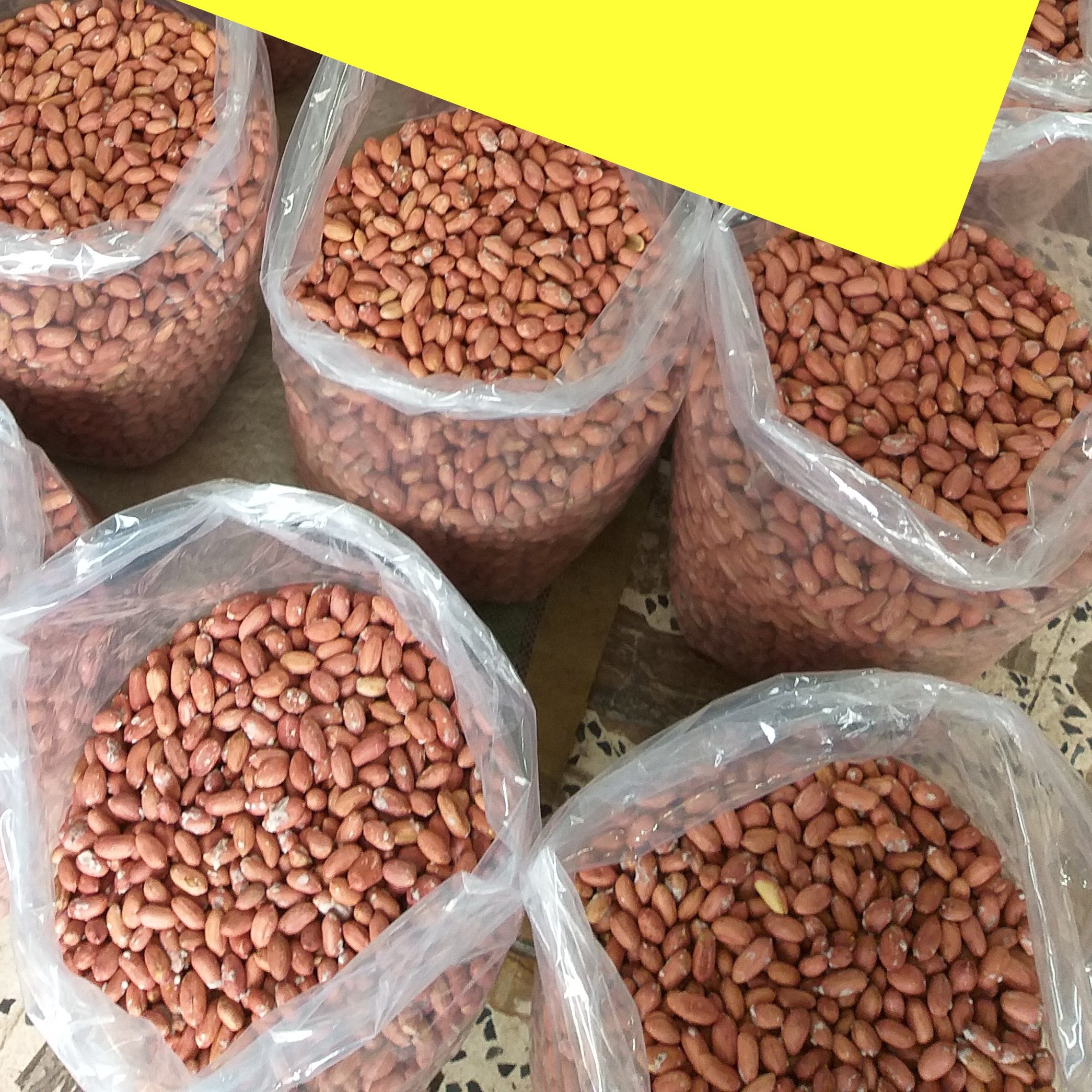 بادام زمینی عمده شور  آستانه اشرفیه ارسال رایگان