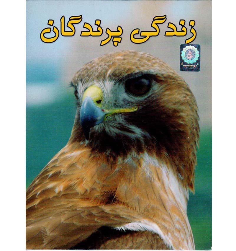 زندگی پرندگان