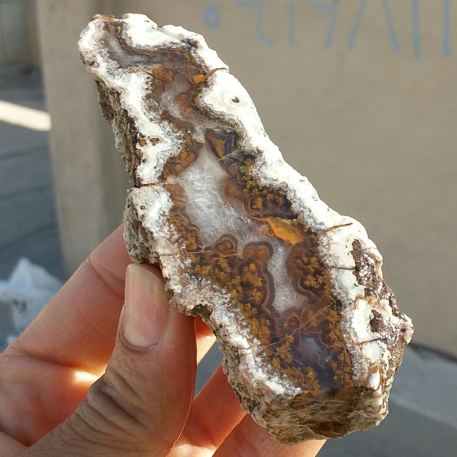 اسلایس سنگ راف عقیق شجر منظره دریایی بسیار زیبا و خاص 100 در 100 طبیعی  شاهکار خلقت
کد 12199