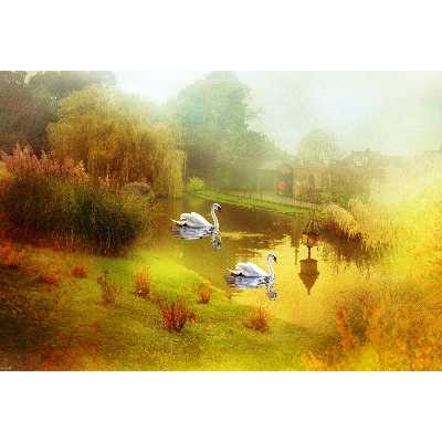 تابلو شاسی طرح نقاشی منظره روستا قو رودخانه مدل T1120