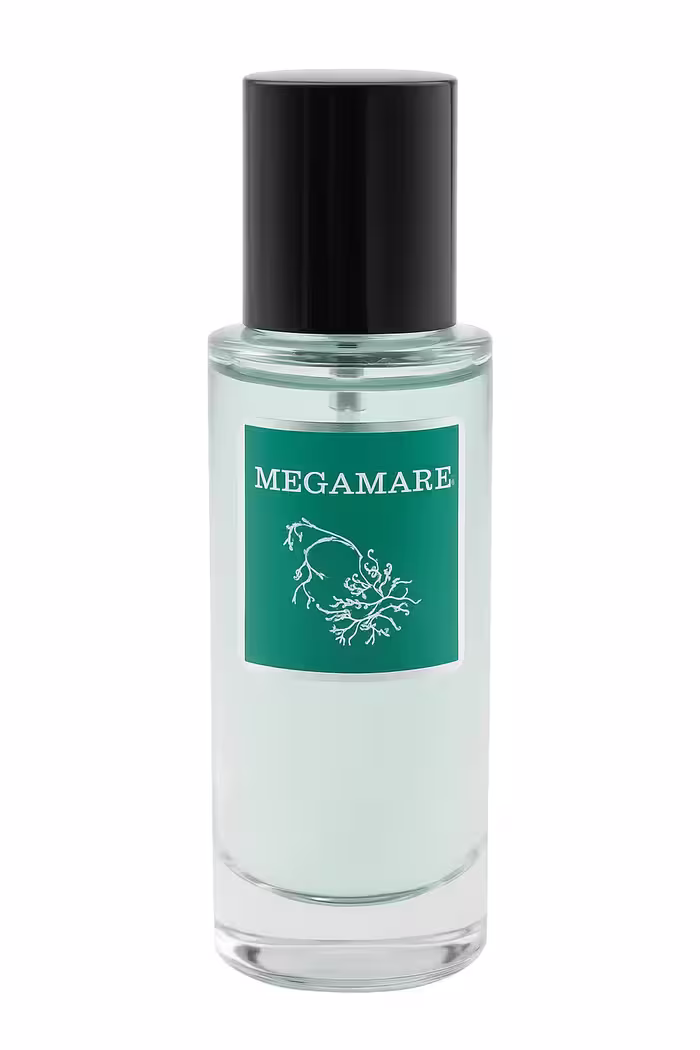 خرید و قیمت ادکلن پرستیژ مدل Megamare - شیک‌بگ