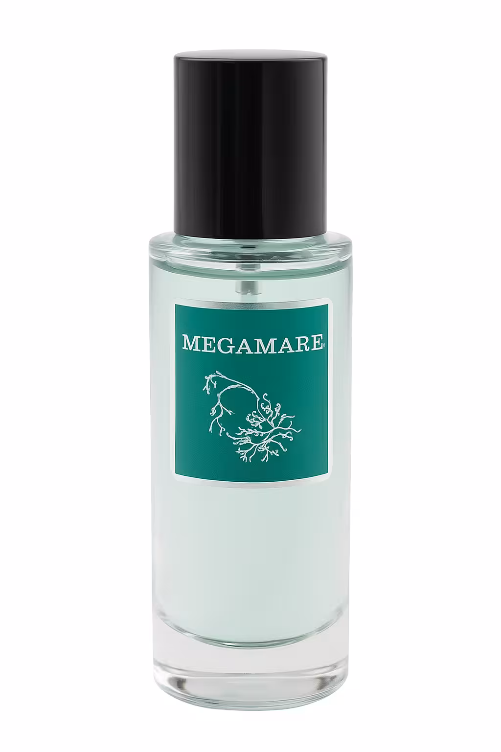 خرید و قیمت ادکلن پرستیژ مدل Megamare - شیک‌بگ