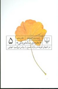 دفترهای سالخوردگی 5: در انتهای کوچه در باران شمع را روشن میکنیم: تنهایی | مرکز فرهنگی آبی
