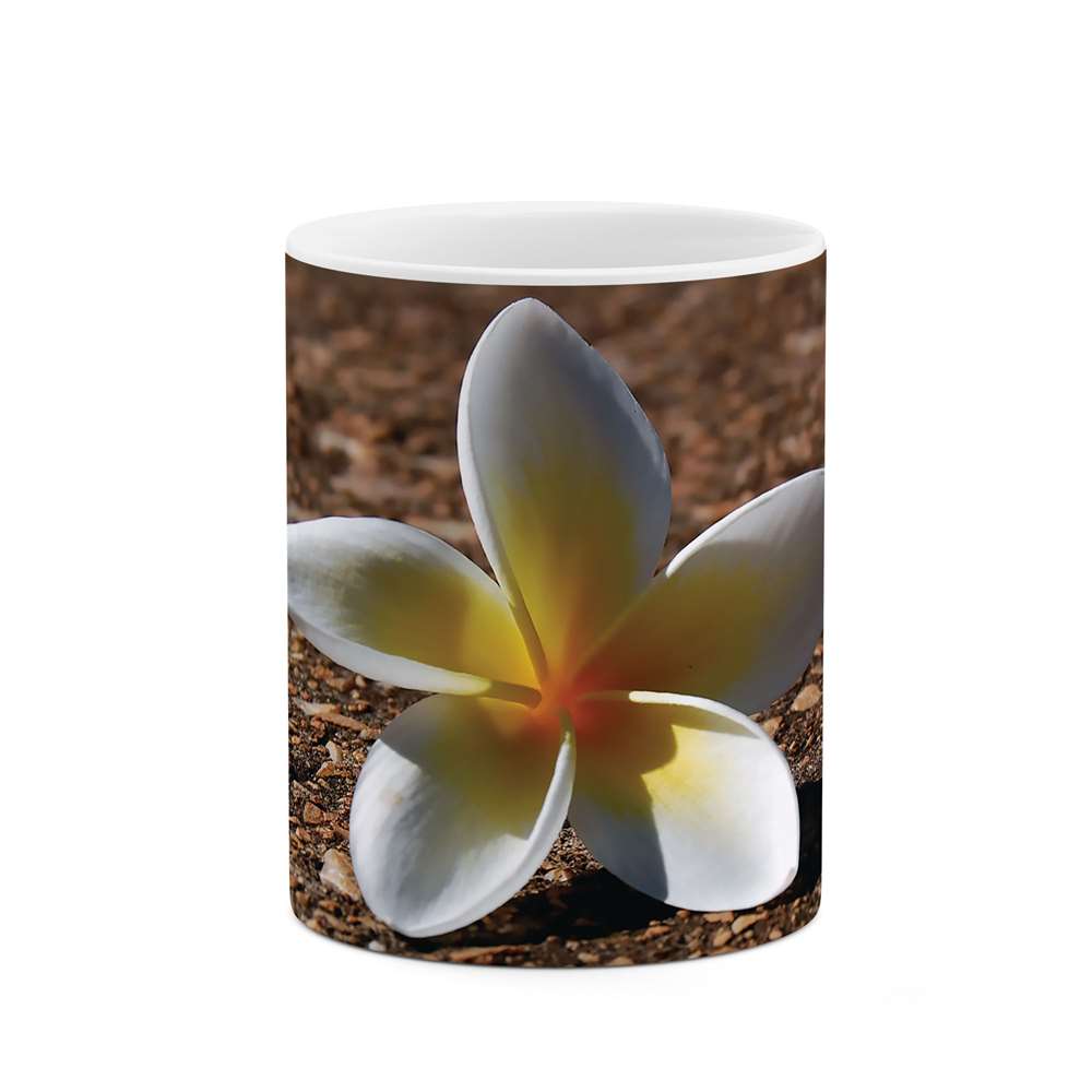 ماگ طرح گل مدل mgs07310