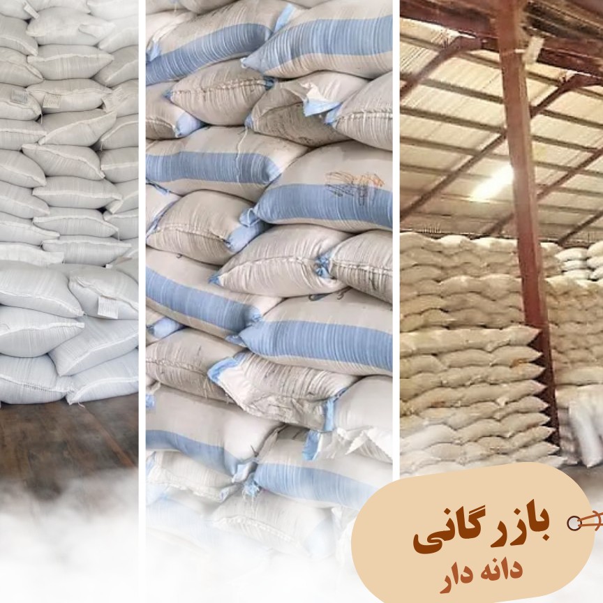 کنجد پاکستانی مخصوص روغنگیری