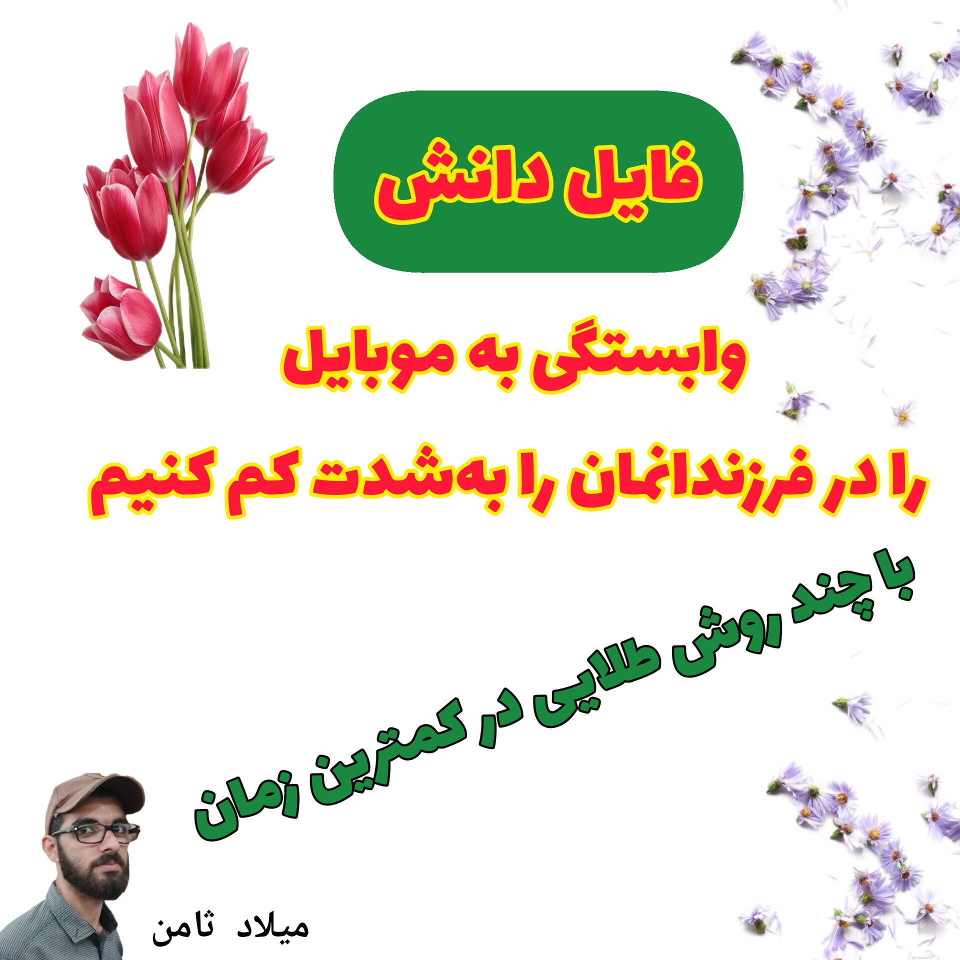 فایل دانش