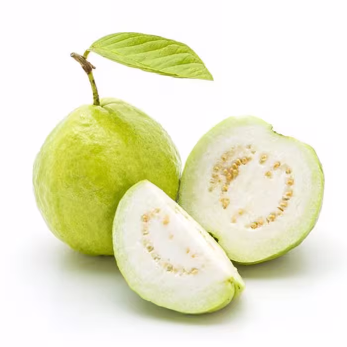 بذر گواوا سیبی سبز مکزیکی فوق درشت بسته 3 عددی