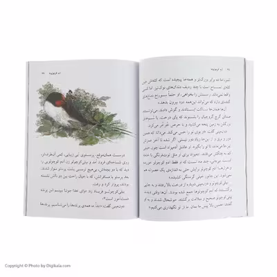 کتاب آدم کوچولوها اثر رولد دال نشر افق