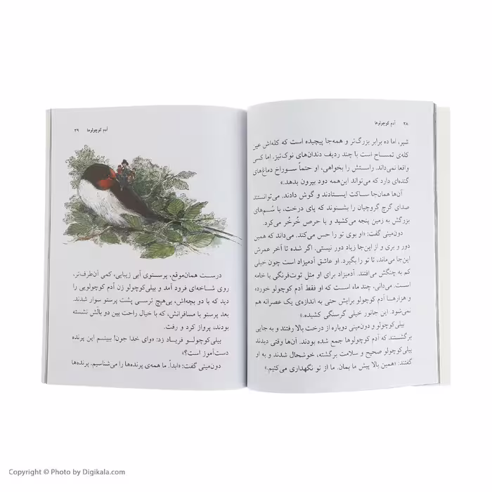 کتاب آدم کوچولوها اثر رولد دال نشر افق