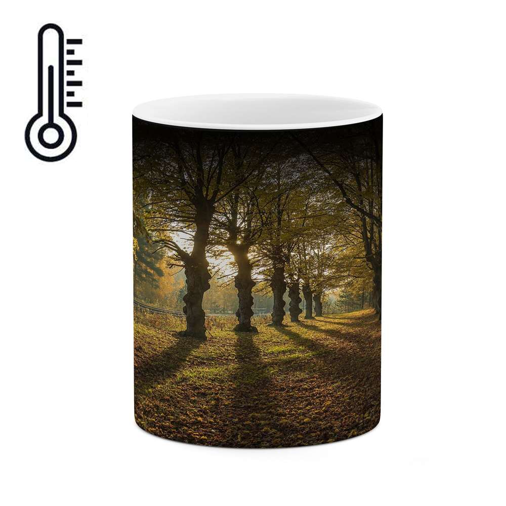 ماگ حرارتی کاکتی طرح منظره مدل mgh16253