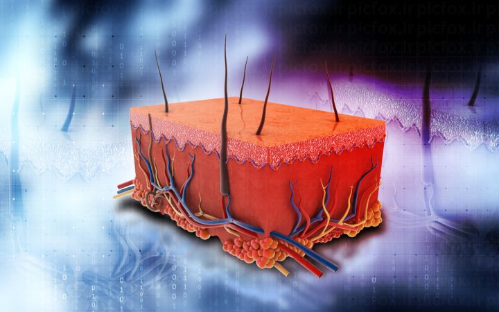 خرید و دانلود عکس Medical-Part-1 کد 32305 | پیک فاکس | Pic Fox