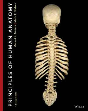 [PDF] دانلود کتاب Principles Of Human Anatomy, 13th ed, 2013