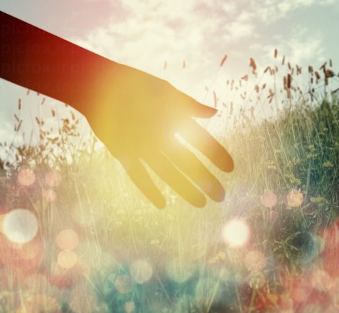 خرید و دانلود عکس Hand-Part-2 کد 24961 | پیک فاکس | Pic Fox