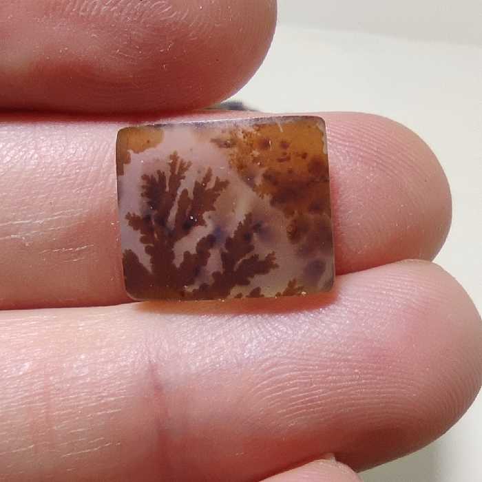 نگین شجر طبیعی و اصل