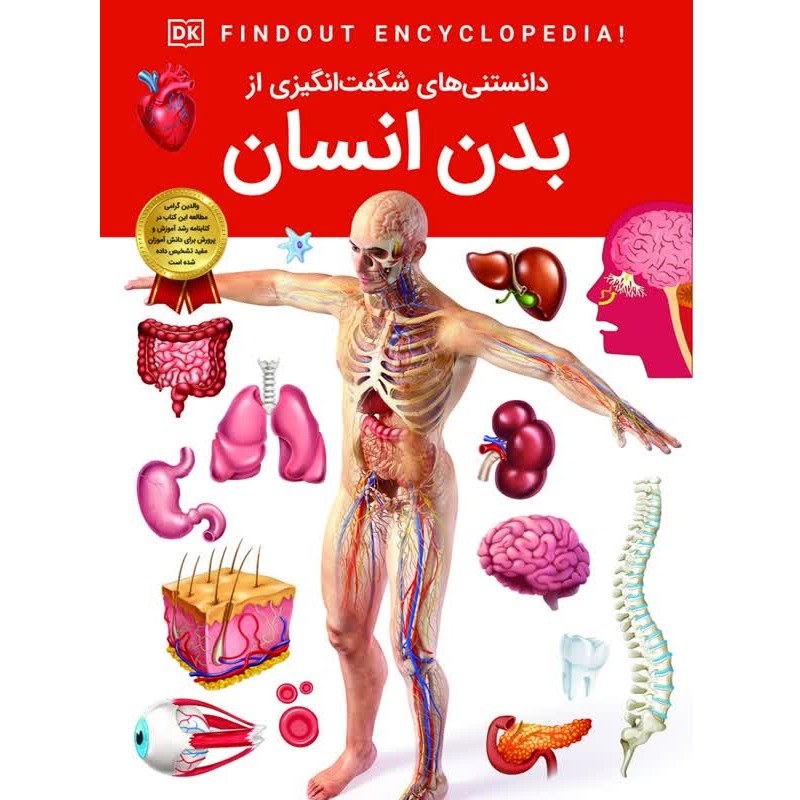 کتاب دانستنی های شگفت انگیزی از بدن انسان - دانشنامه نوجوان - کاغذ گلاسه